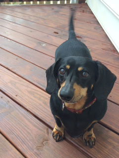 Gretchen