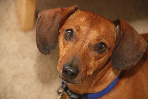Rusty