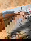 Dart