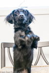Rocky 2