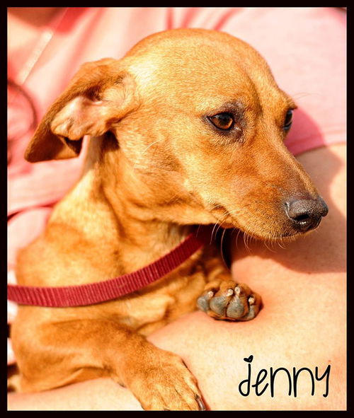 Jenny