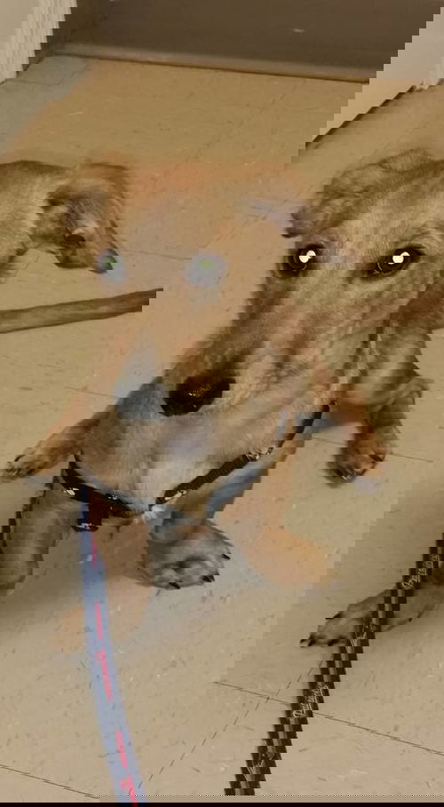 George