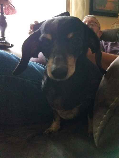 Sophie