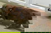 Andy - Courtesy post