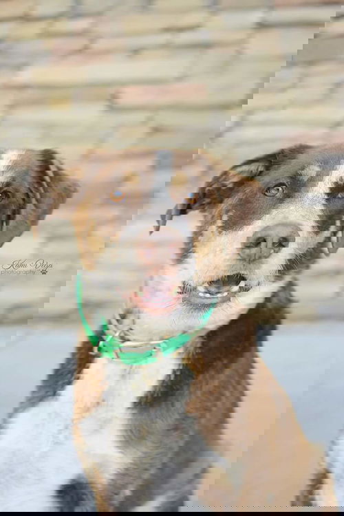 Oly