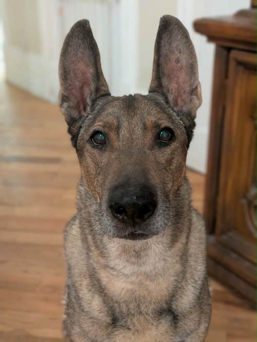 Zaxby, photo 4
