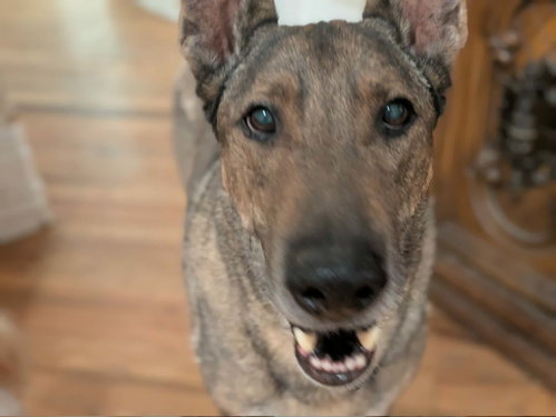 Zaxby, photo 11