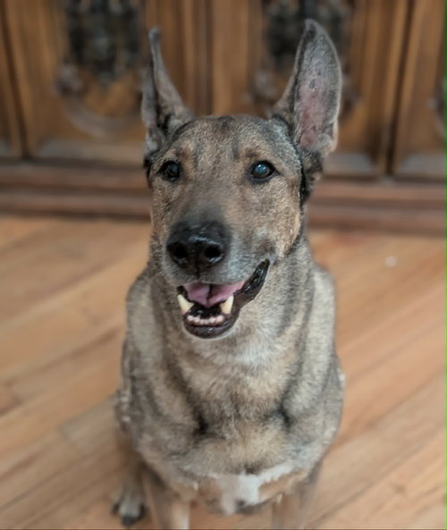 Zaxby, photo 12