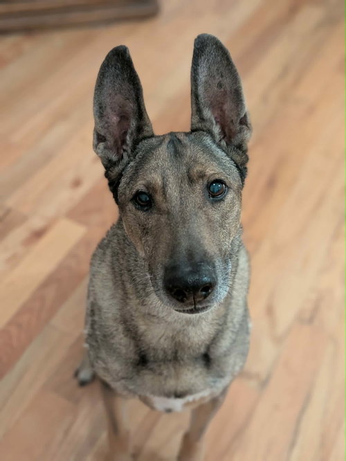 Zaxby, photo 13