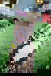 Marisol