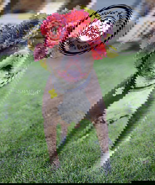 Marisol