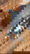 Cadet Blue