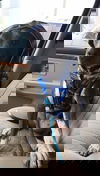 Cadet Blue