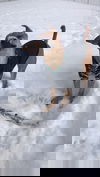 Her
