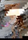 Her