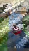 Davola