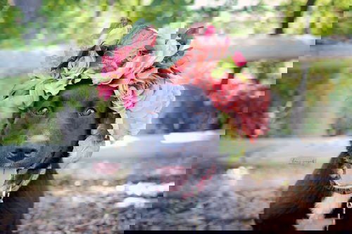Rune