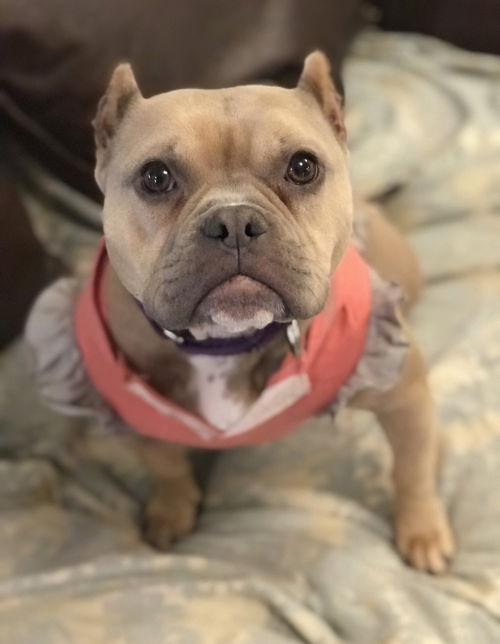 Miss Lady