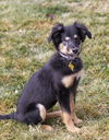 Millicent
