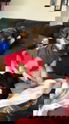 Pono