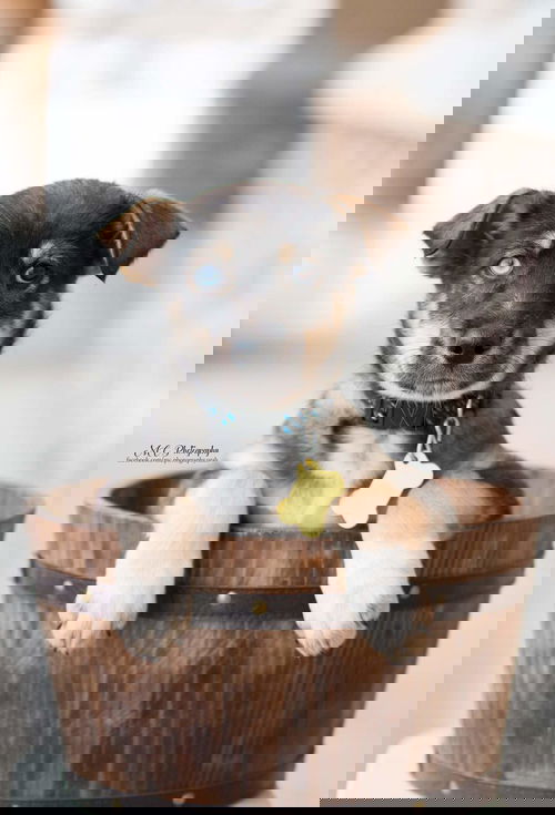 KG
