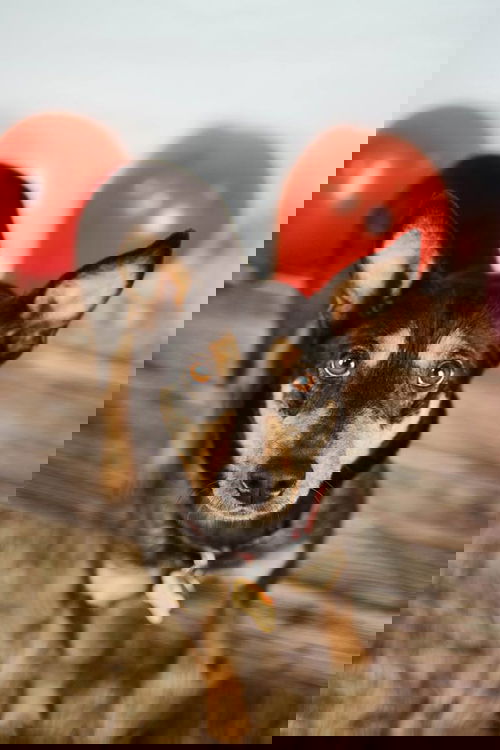 Valda