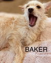 Baker