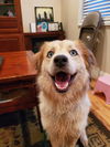 Colby