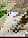 Bida