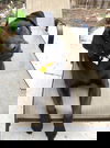 Bida