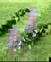 Bida