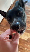 Taki