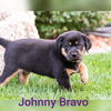 Johnny Bravo