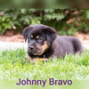 Johnny Bravo