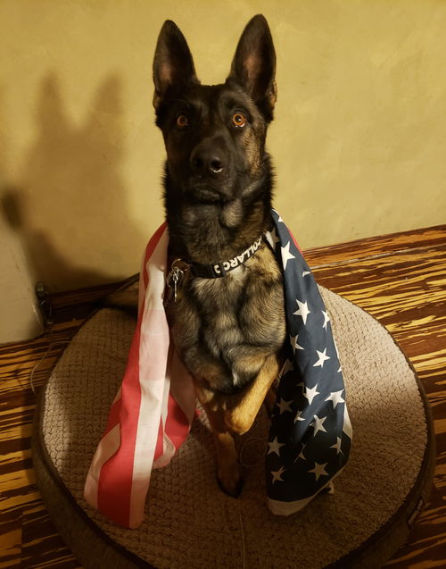 Vance Corporal