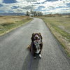Jazzper - Photo 4