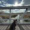 Jazzper - Photo 11