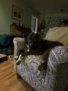 Jazzper - Photo 14