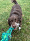 Jazzper - Photo 8
