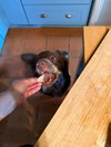 Jazzper - Photo 9