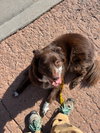 Jazzper - Photo 11
