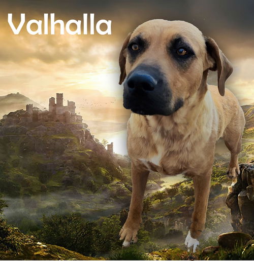 Valhalla