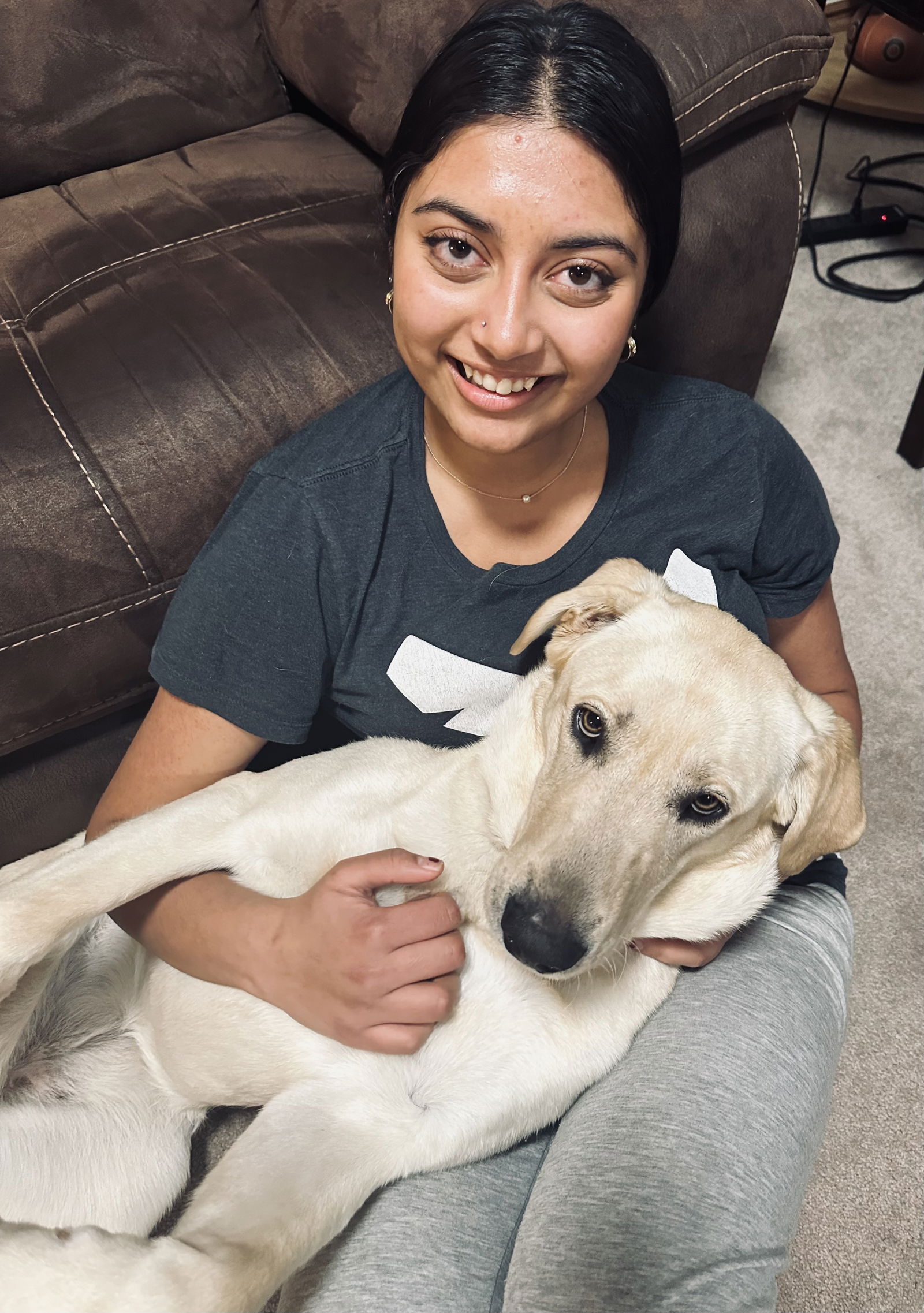 Dog for Adoption - Luna Estelle, a Labrador Retriever in Francis, UT ...