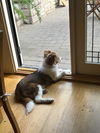 Polly