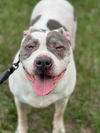 Bessie Lou