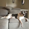 Bessie Lou
