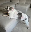 Bessie Lou