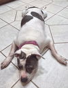 Bessie Lou