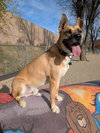 Mighty Mike - Photo 13