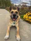 Mighty Mike - Photo 5